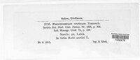 Aculeastrum arcticum image